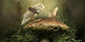 【エゴと潜在意識の関係】深層心理の探索