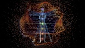 研究や一次情報への参照先