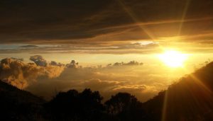 実践方法の比較