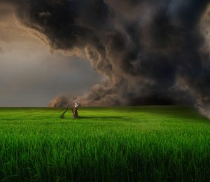 【まとめ（総評）】瞑想は「できているか」「わからない」時間を受け入れる練習