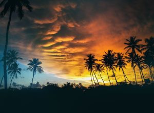 執着を手放すことで見えてくるツインレイの本質