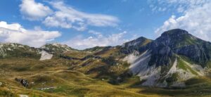 初心者が失敗しないQ&A：よくある誤解とリスクの境界